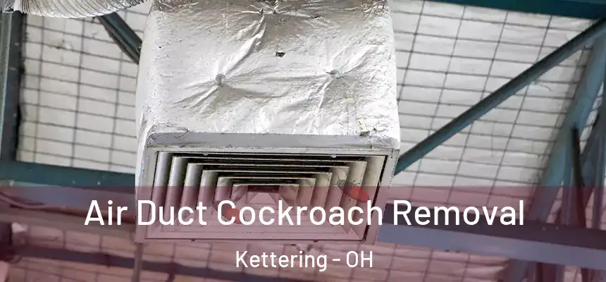  Air Duct Cockroach Removal Kettering - OH