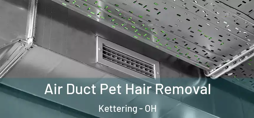 Air Duct Pet Hair Removal Kettering - OH