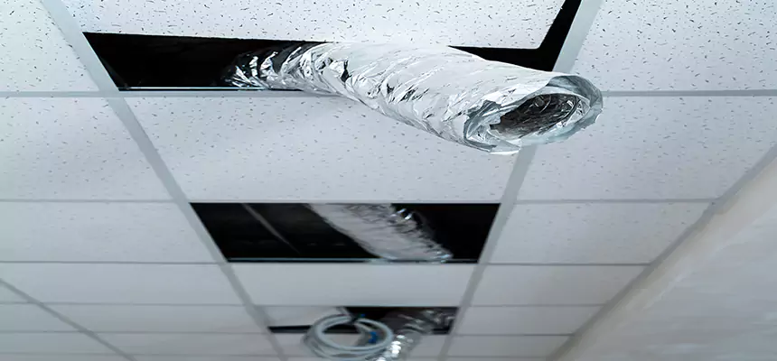 Affordable HVAC Sanitizing After Pest Removal in Kettering