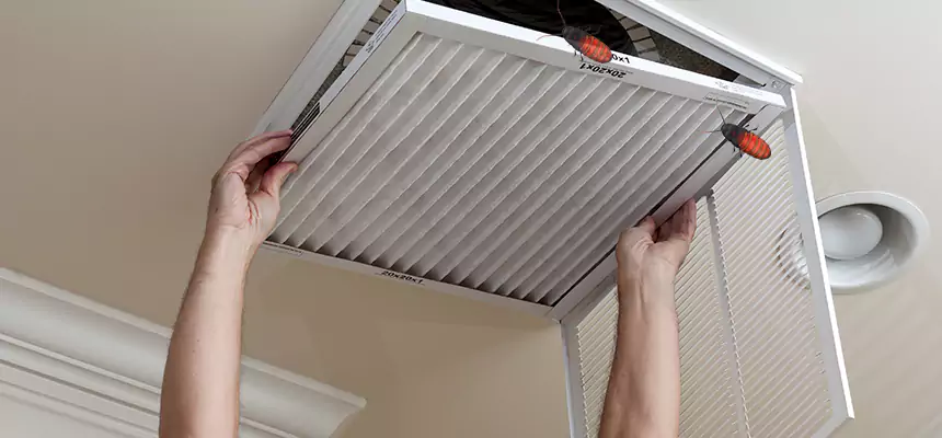 Our Insect Removal from Air Ducts Services in Kettering, OH