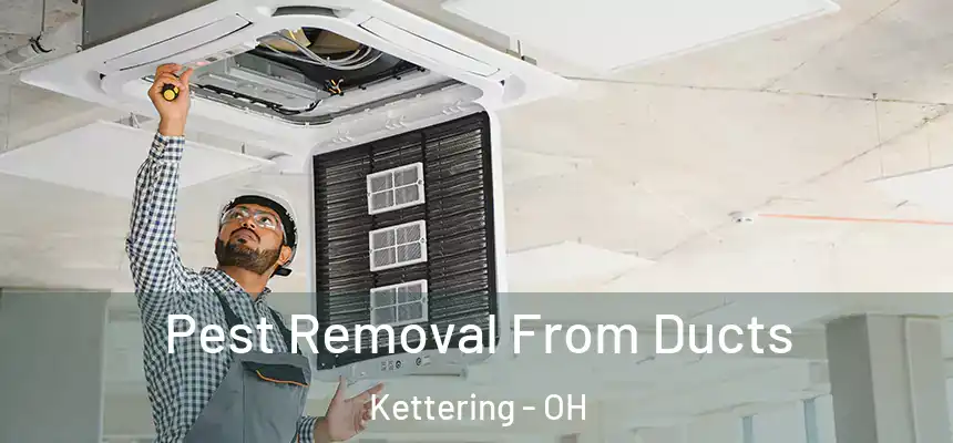  Pest Removal From Ducts Kettering - OH
