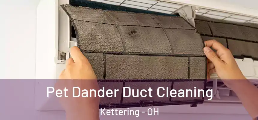  Pet Dander Duct Cleaning Kettering - OH