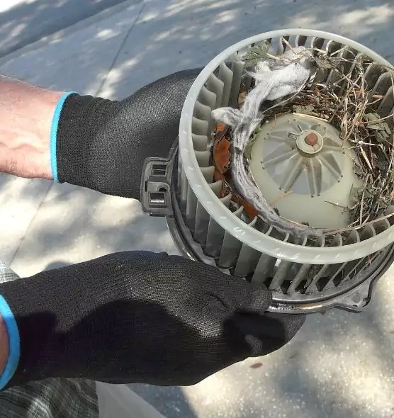 About Air Duct Mice Removal in Kettering, OH