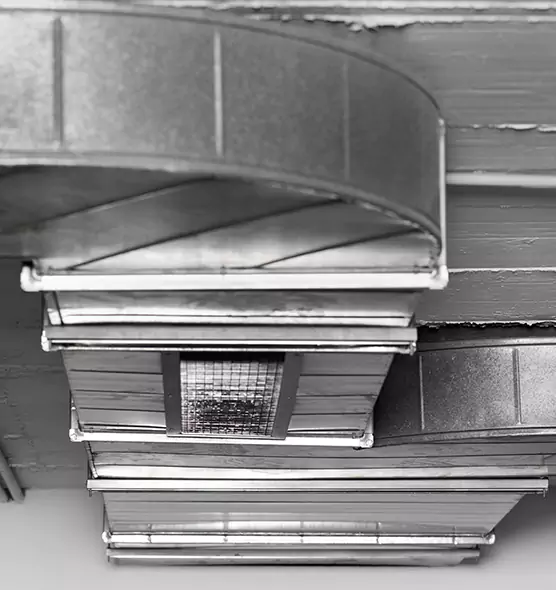 Professional Air Duct Pest Removal in Kettering, OH