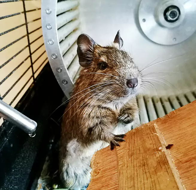 Why Homeowners & Businesses Trust Us Kettering, OH?